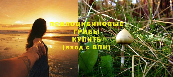 кокаин перу Богданович