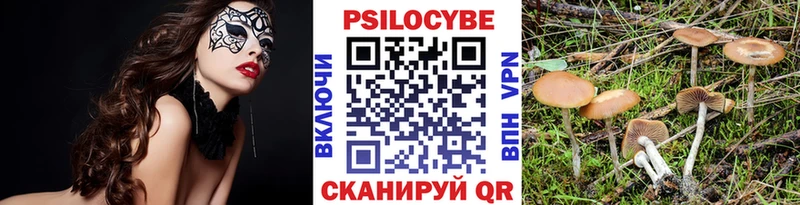 Галлюциногенные грибы Psilocybe  OMG ССЫЛКА  Вязьма  цены наркотик 