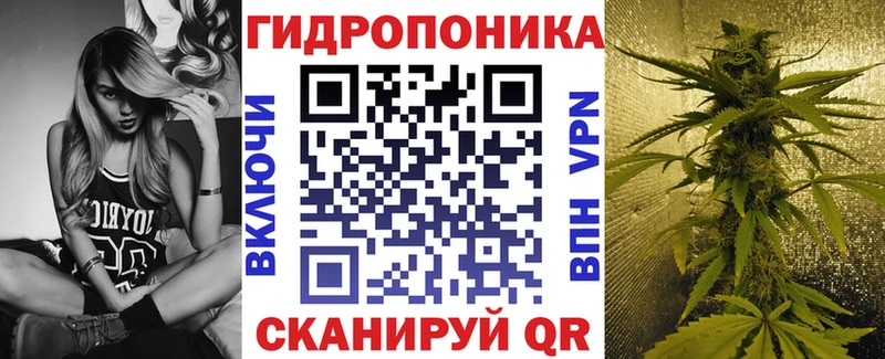 Бошки марихуана план  Вязьма 